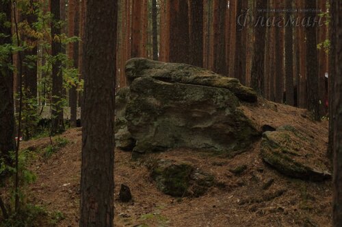IMGP1094_r